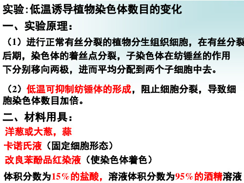 实验：低温诱导植物染色体数目的变化