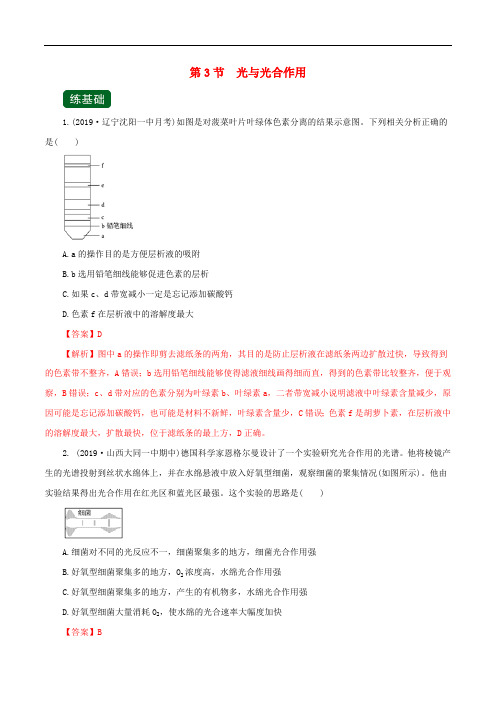 2020年高考生物一轮复习专题3.3光与光合作用精练含解析