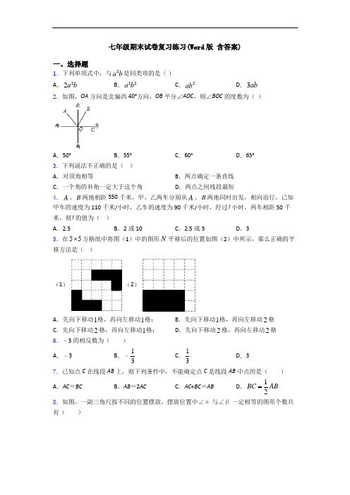 七年级期末试卷复习练习(Word版 含答案)