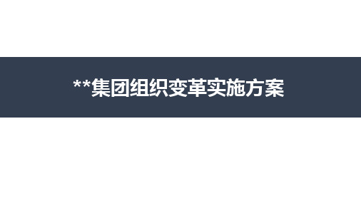 XX集团组织变革实施方案