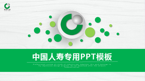 中国人寿ppt中国人寿保险公司ppt 