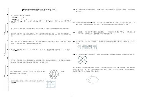 小学数学六年级毕业班小升初：六年级数学思维提升训练考试试卷(共9张)