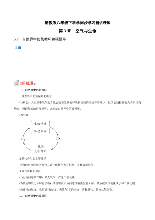 【精品讲义】浙教版 科学 8年级下册 3.7 自然界中的氧循环和碳循环(教师版含解析)