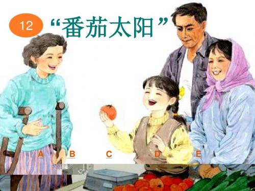 新版苏教版语文 《番茄太阳》第二课时 课件2
