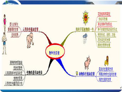 第一节花的结构和类型课件