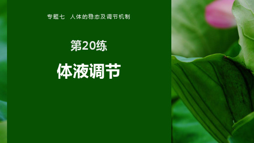 第20练 体液调节