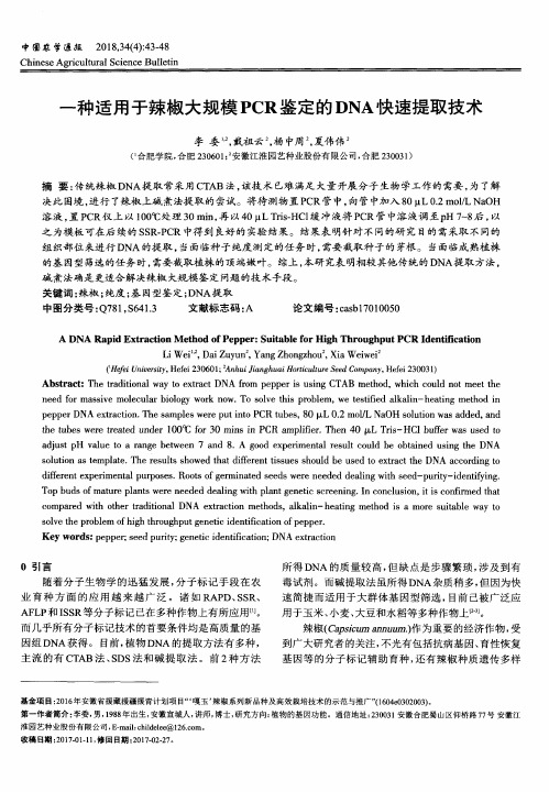 一种适用于辣椒大规模PCR鉴定的DNA快速提取技术