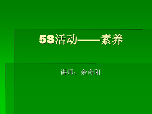 5S活动——素养