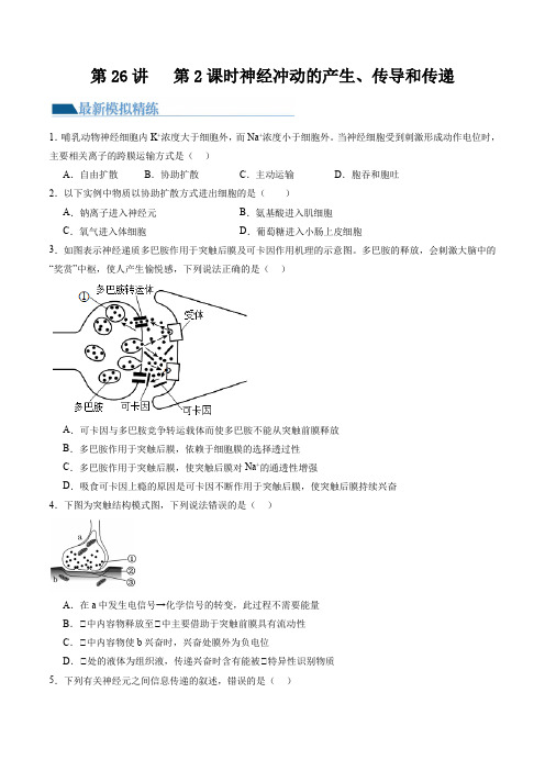 第26.2讲 神经冲动的产生、传导和传递(练习)(原卷版)