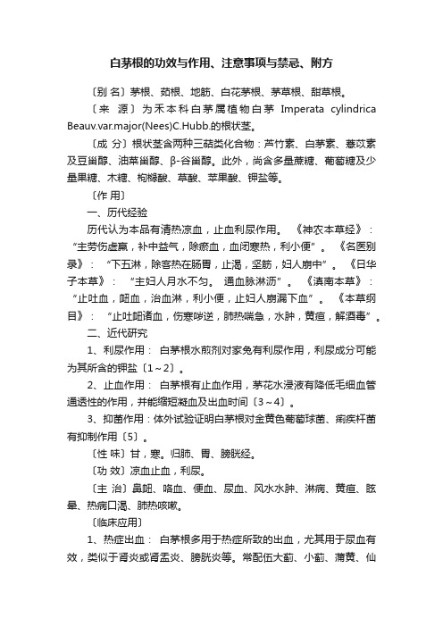 白茅根的功效与作用、注意事项与禁忌、附方