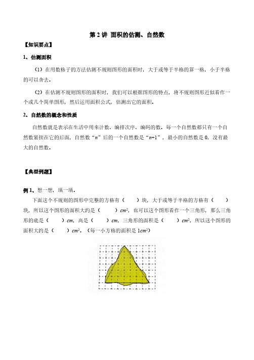 (沪教版)五年级下册数学讲义-第2讲面积的估测和自然数