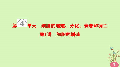 2019版高考生物一轮复习第4单元细胞的增殖分化衰老和凋亡第1讲细胞的增殖课件苏教版