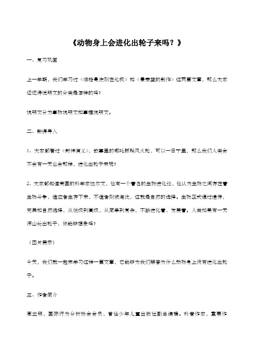 教案动物身上会进化出轮子来吗