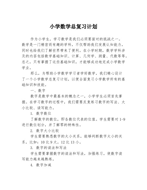 小学数学总复习计划