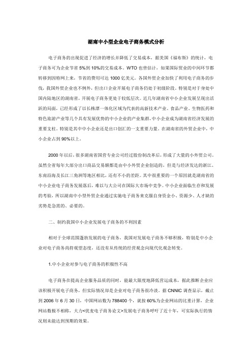 湖南中小型企业电子商务模式分析