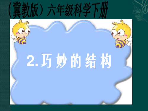 (六下)科学PPT课件2 巧妙的结构 冀教版 (29张)