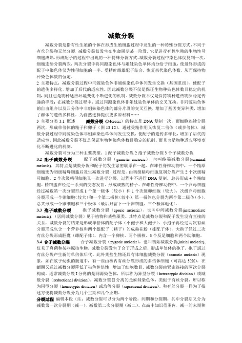 有丝分裂和减数分裂 文档