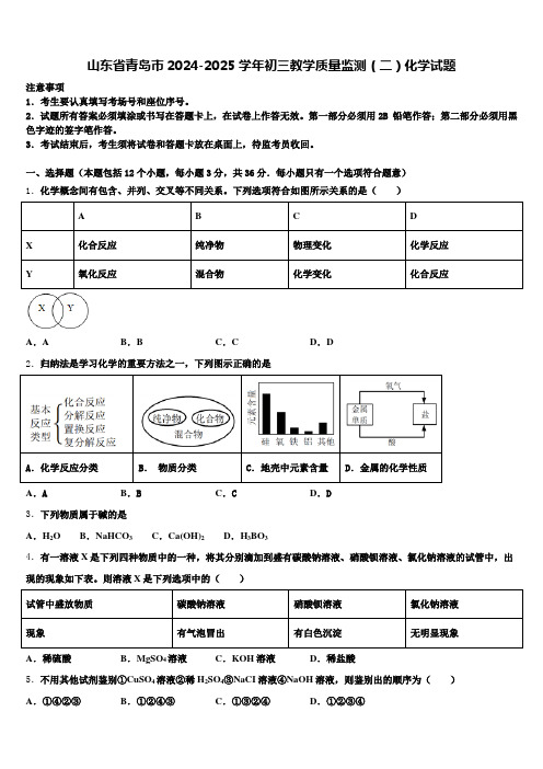 山东省青岛市2024-2025学年初三教学质量监测(二)化学试题含解析