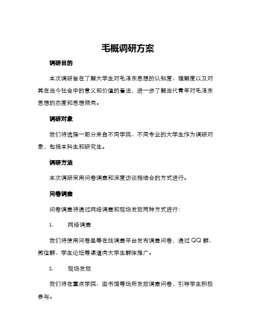 毛概调研方案