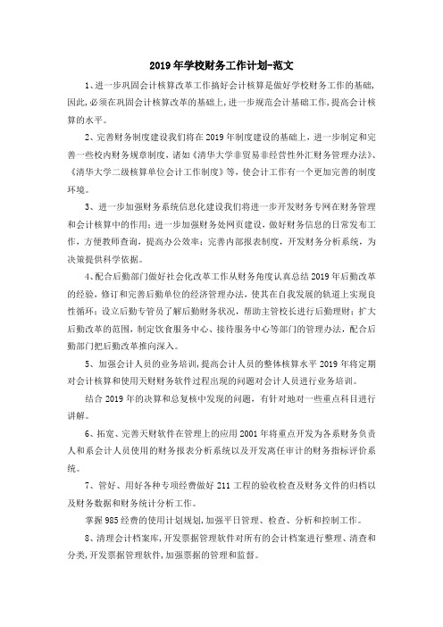工作总结-2019年学校财务工作计划-范文 精品