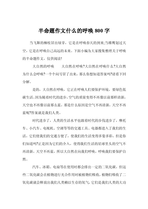 半命题作文什么的呼唤800字