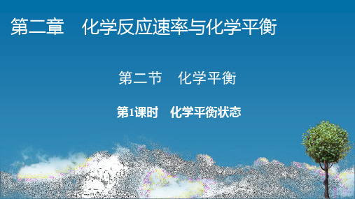 高中化学新人教版选择性必修一化学平衡状态 同步课件(49张)