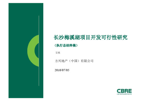 2010年长沙梅溪湖地产项目开发可行性研究报告