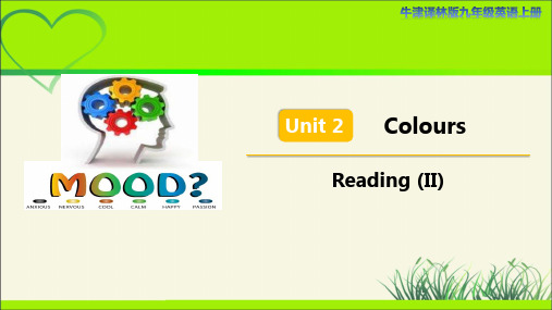 译林版九年级英语上册Unit 2 Colours Reading (II) 示范公开课教学课件