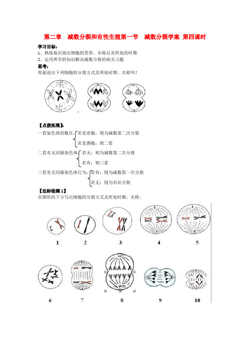 江苏省徐州市睢宁县菁华高级中学高中生物  第二章 第一节 减数分裂(第四课时)学案 苏教版必修2