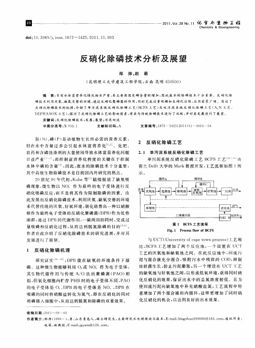 反硝化除磷技术分析及展望