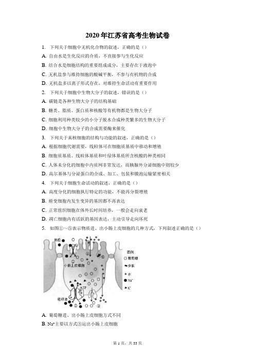 2020年江苏省高考生物试卷和答案解析