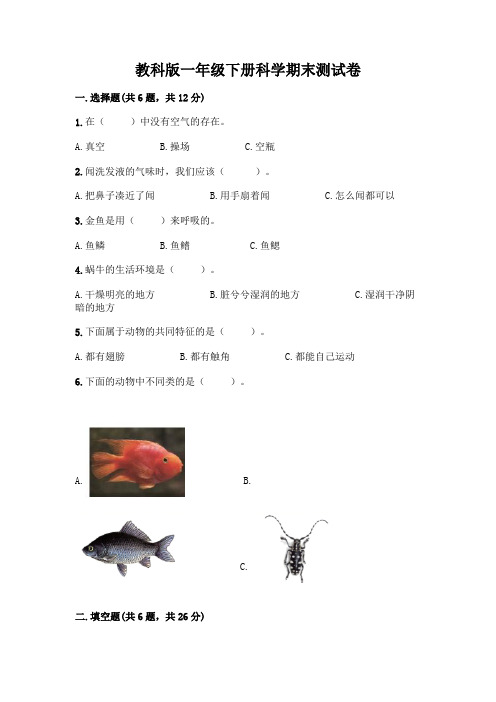 教科版一年级下册科学期末测试卷及参考答案(完整版)