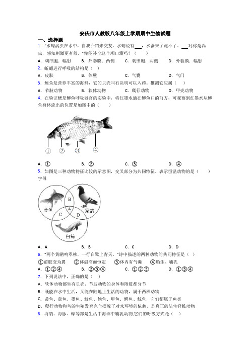 安庆市人教版八年级上学期期中生物试题