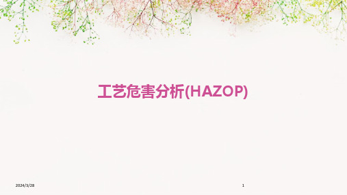 工艺危害分析(HAZOP)-2024鲜版