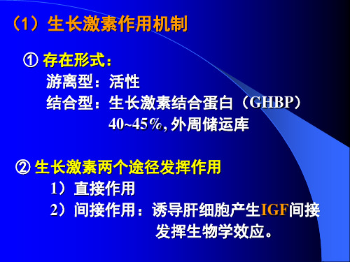 生理学课件内分泌2生长激素作用机制