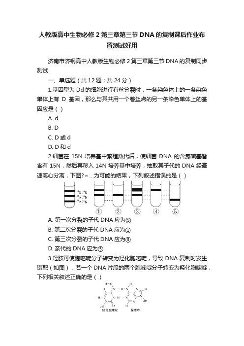 人教版高中生物必修2第三章第三节DNA的复制课后作业布置测试好用