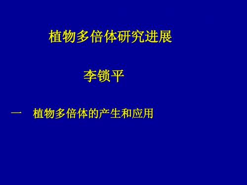 李锁平报告1