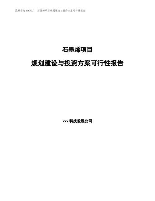 石墨烯项目规划建设与投资方案可行性报告 (1)