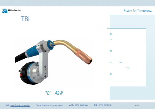 TBi机器人标配焊枪系统-中薄板焊接TBi 42W