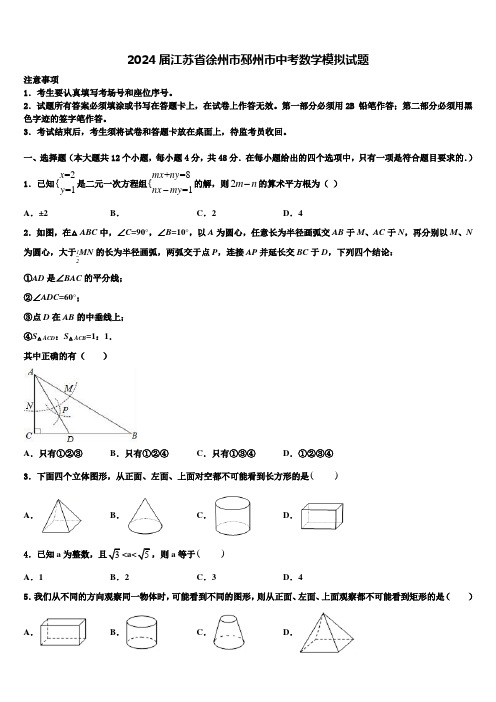 2024届江苏省徐州市邳州市中考数学模拟试题含解析