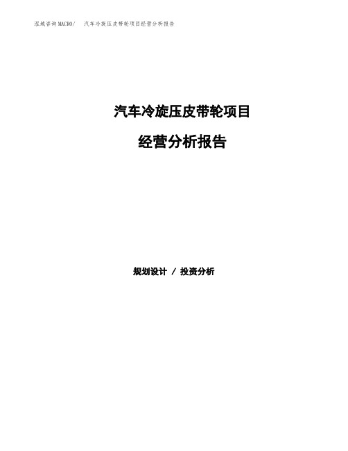 汽车冷旋压皮带轮项目经营分析报告(项目总结分析)