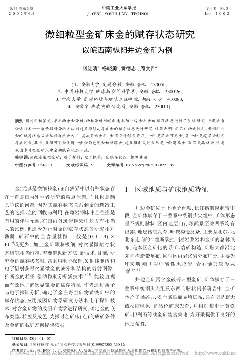 微细粒型金矿床金的赋存状态研究_以皖西南枞阳井边金矿为例