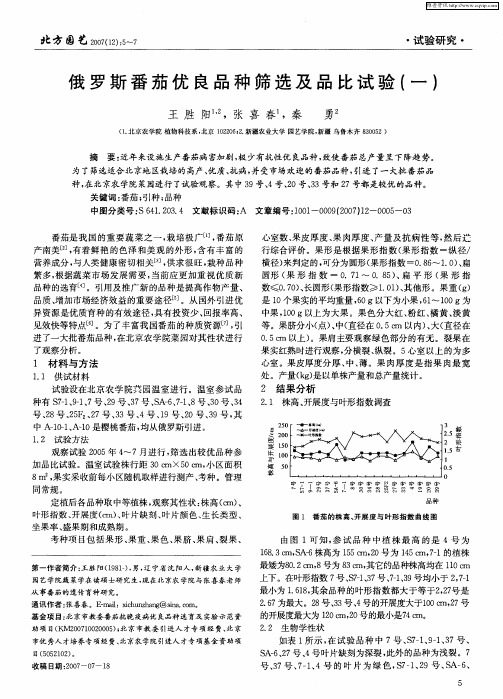 俄罗斯番茄优良品种筛选及品比试验(一)