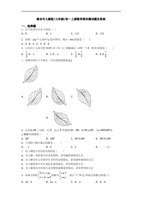 泰安市人教版(七年级)初一上册数学期末测试题及答案