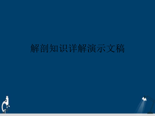 解剖知识详解演示文稿