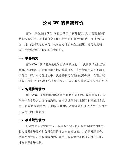 公司CEO的自我评价