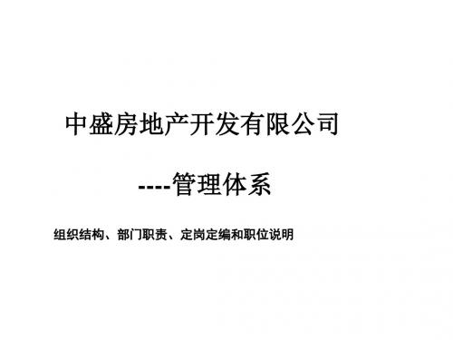 房地产公司组织结构、部门职责及定岗定编说明(ppt 102页)