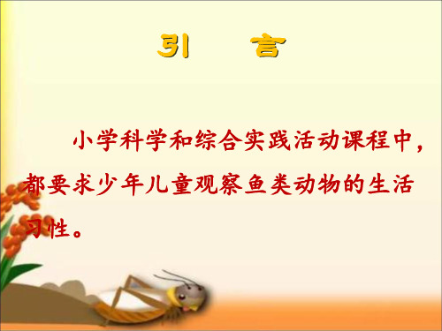 科学小实验《自制钓鱼竿》