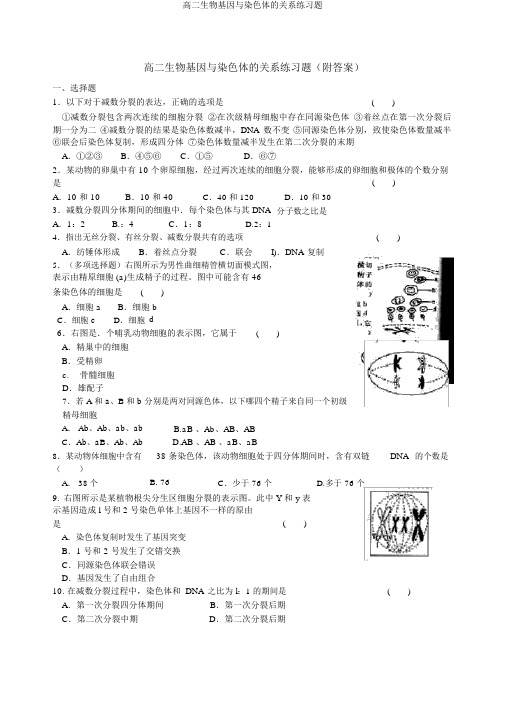 高二生物基因与染色体的关系练习题