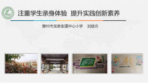 枣庄市综合实践现场会---专家报告课件《注重学生亲身体验 提升实践创新素养》